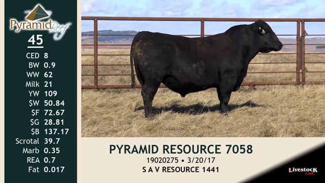 Lot #45 - PYRAMID RESOURCE 7058