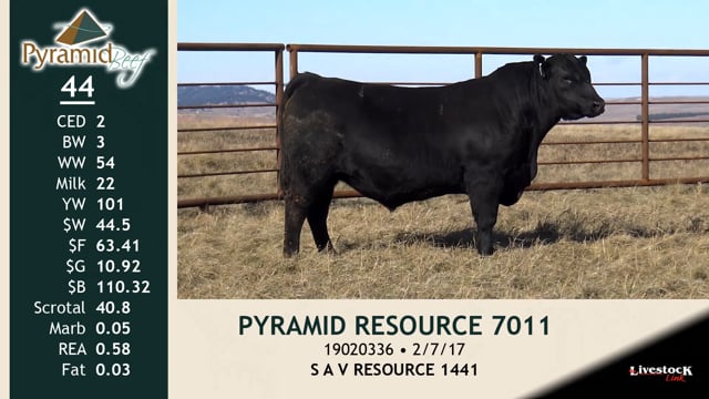 Lot #44 - PYRAMID RESOURCE 7011