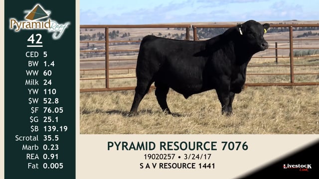 Lot #42 - PYRAMID RESOURCE 7076