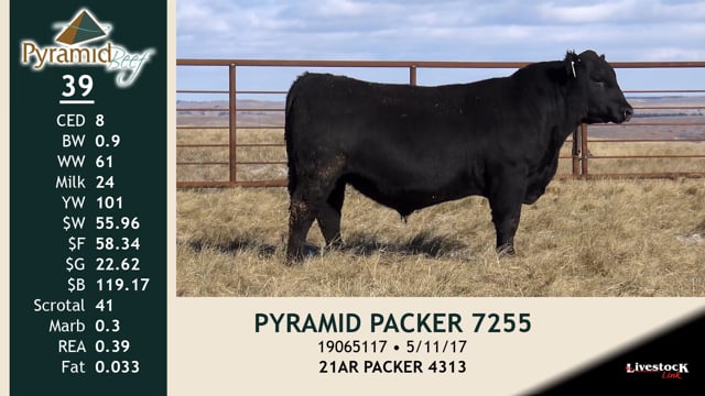 Lot #39 - PYRAMID PACKER 7255