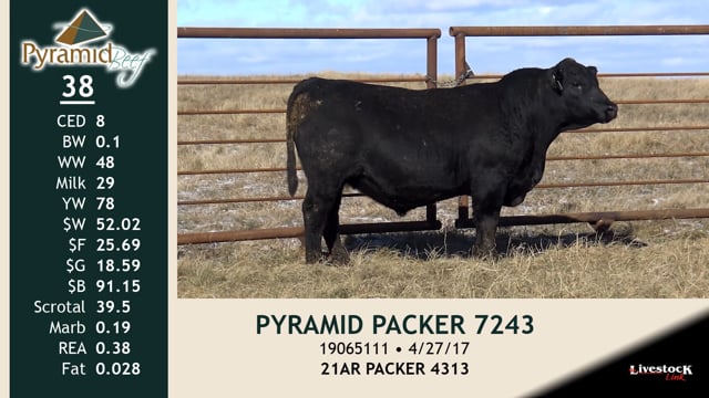 Lot #38 - PYRAMID PACKER 7243