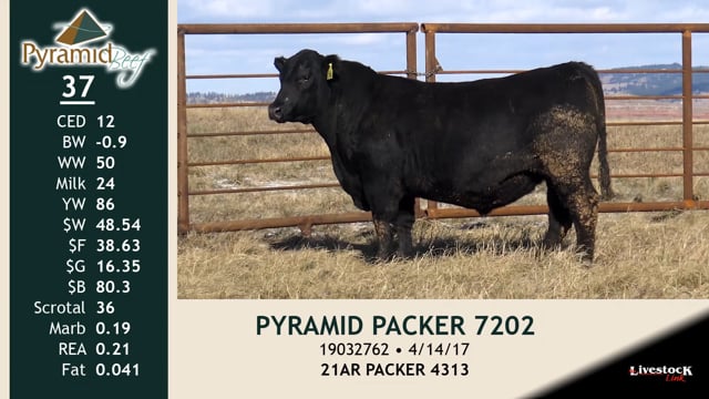 Lot #37 - PYRAMID PACKER 7202