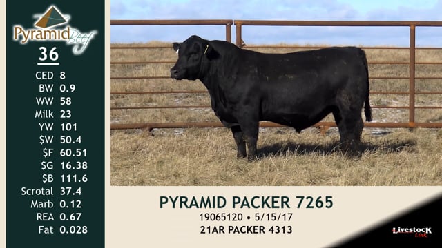 Lot #36 - PYRAMID PACKER 7265