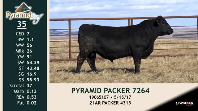 Lot #35 - PYRAMID PACKER 7264