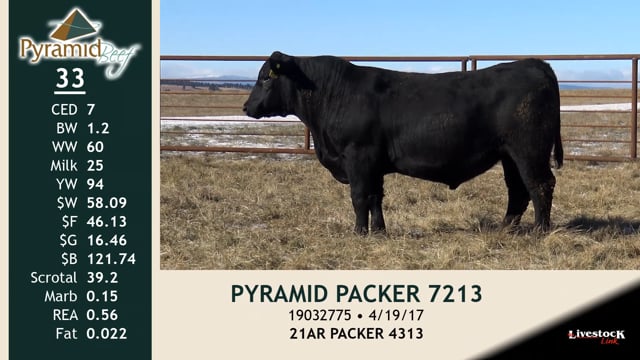 Lot #33 - PYRAMID PACKER 7213