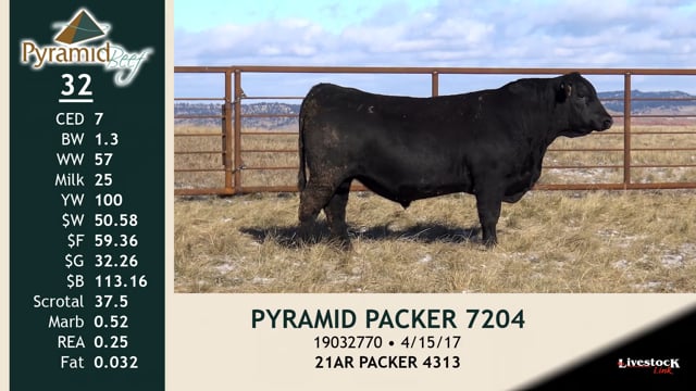 Lot #32 - PYRAMID PACKER 7204