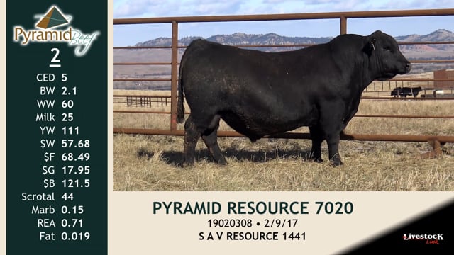 Lot #2 - PYRAMID RESOURCE 7020