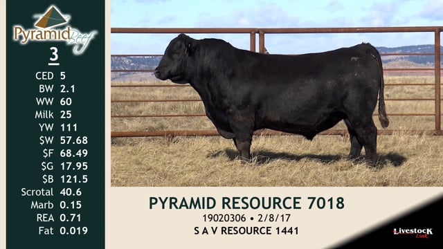 Lot #3 - PYRAMID RESOURCE 7018