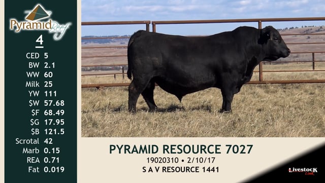 Lot #4 - PYRAMID RESOURCE 7027
