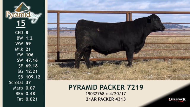 Lot #15 - PYRAMID PACKER 7219