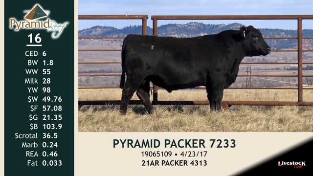 Lot #16 - PYRAMID PACKER 7233