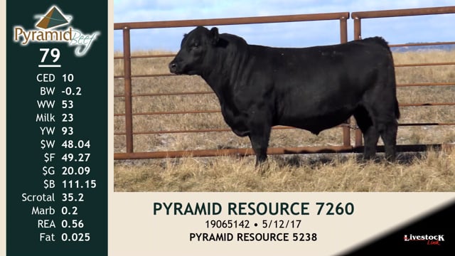 Lot #79 - PYRAMID RESOURCE 7260