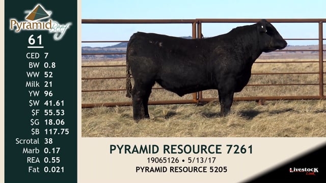 Lot #61 - PYRAMID RESOURCE 7261