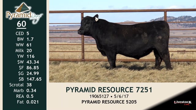 Lot #60 - PYRAMID RESOURCE 7251