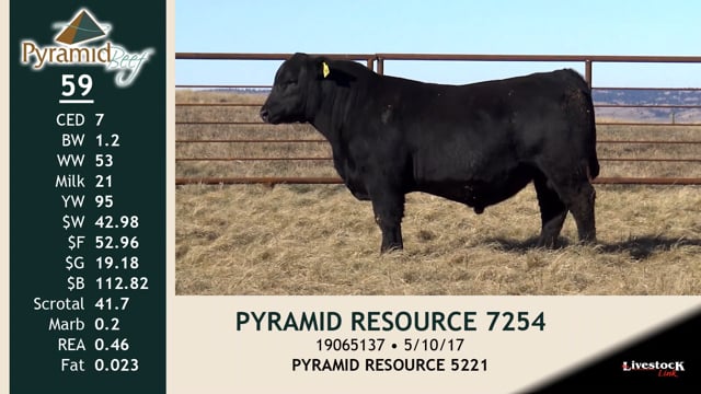 Lot #59 - PYRAMID RESOURCE 7254
