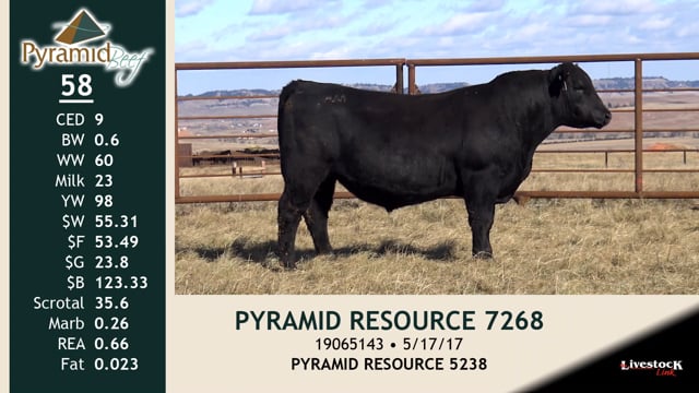 Lot #58 - PYRAMID RESOURCE 7268