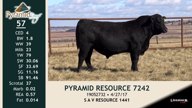 Lot #57 - PYRAMID RESOURCE 7242