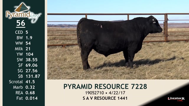 Lot #56 - PYRAMID RESOURCE 7228
