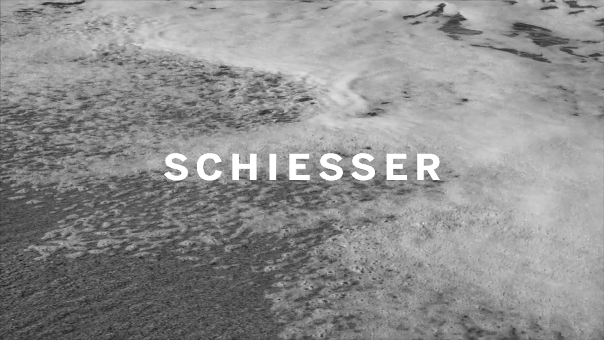 Schiesser 95