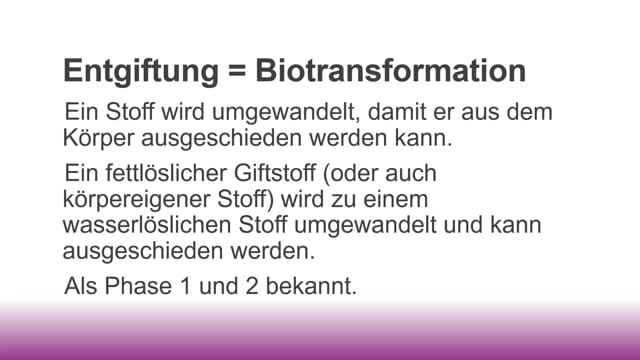 Die vier Phasen der Entgiftung