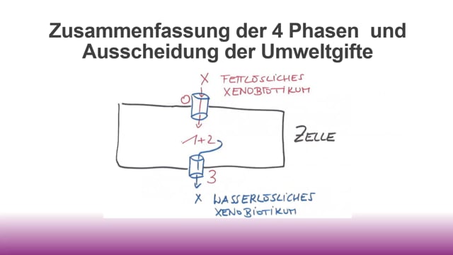 Zusammenfassung Modul 2