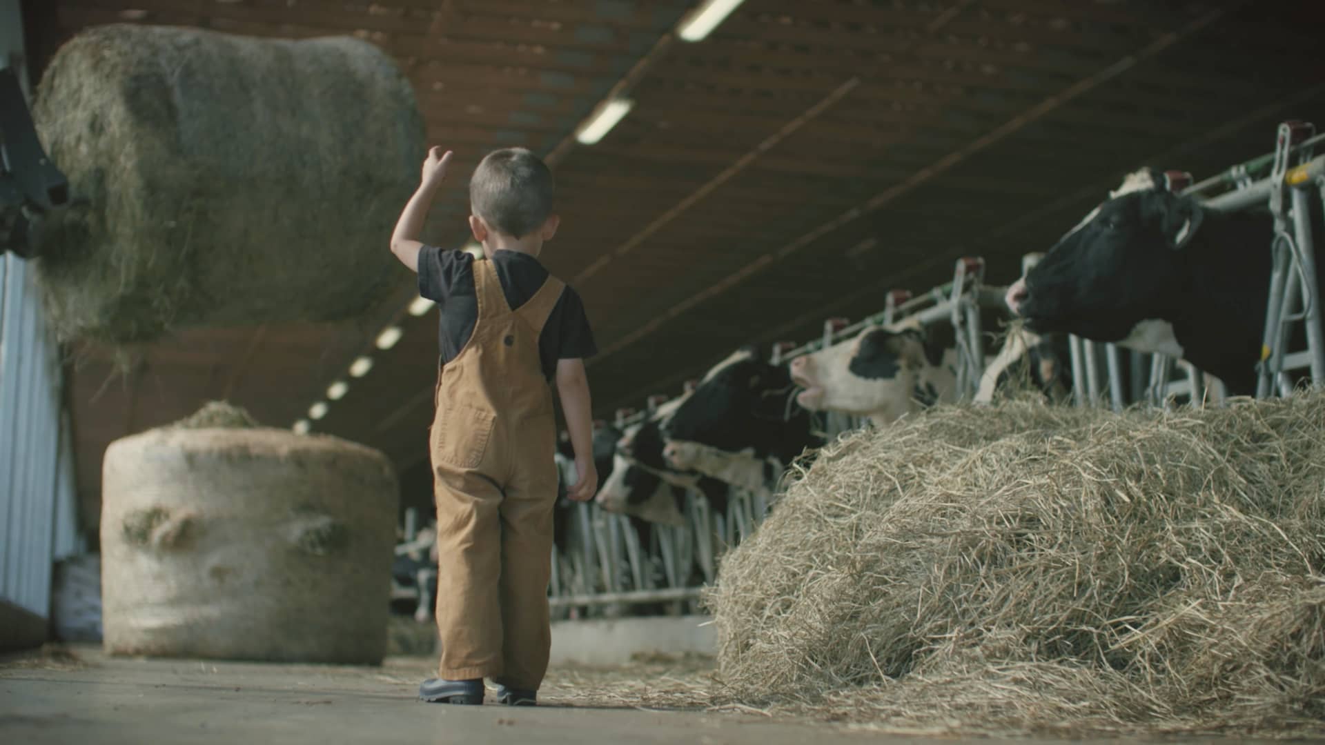 La Financière agricole du Québec 2018 on Vimeo