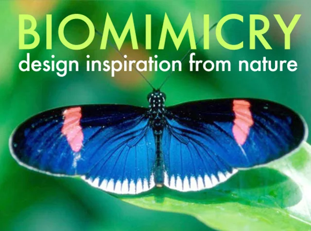 Biomimicry – Designing a Modern World Through the Wisdom of Nature