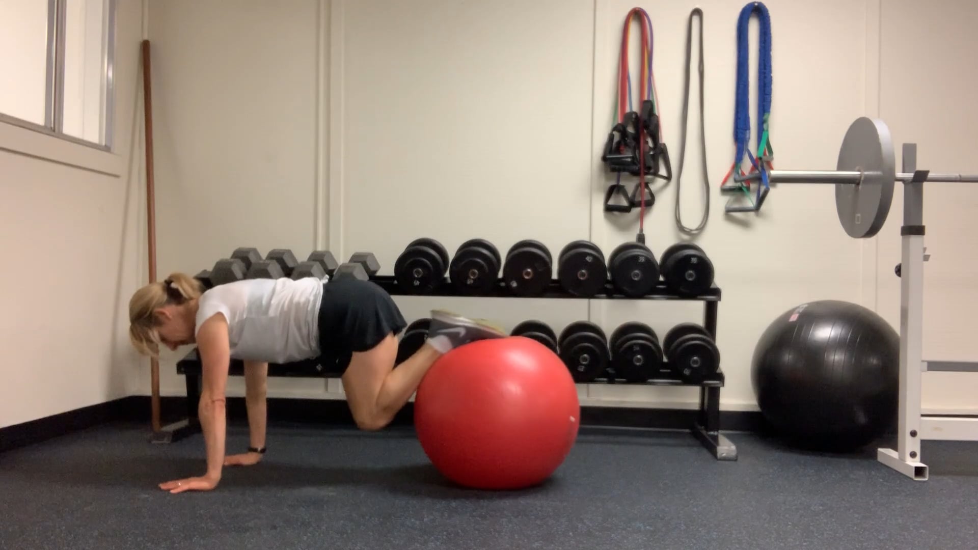 Stability Ball - Ab roll-out on Vimeo