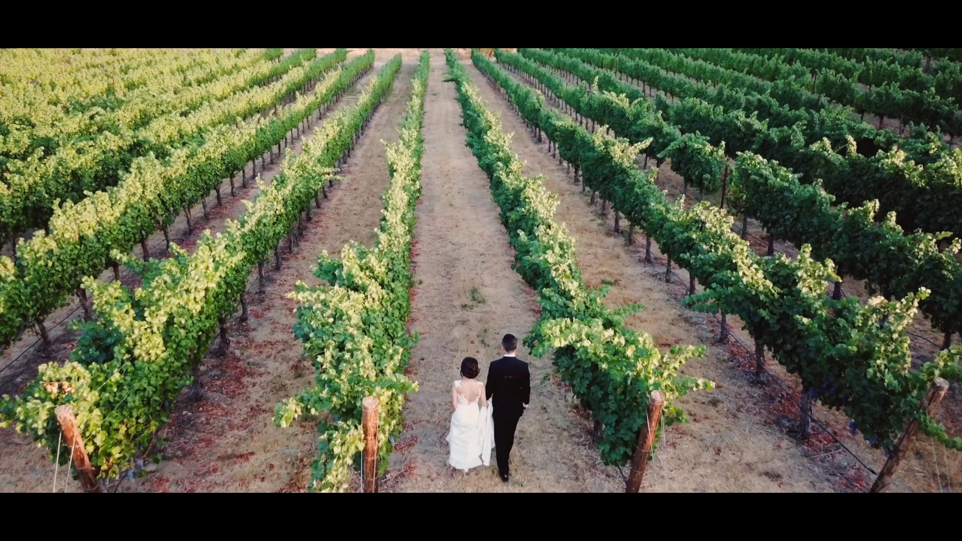 Hanh & Edward Wedding Highlight