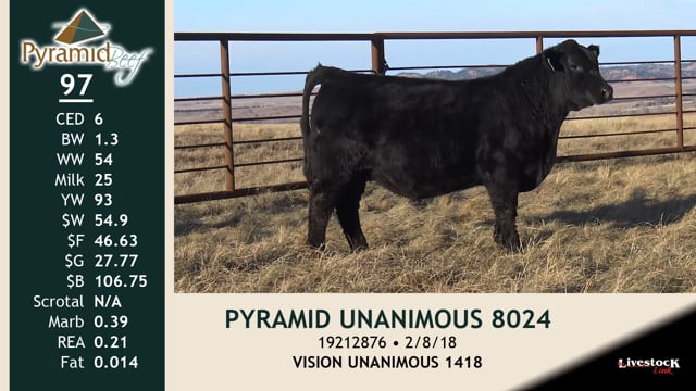 Lot #97 - PYRAMID UNANIMOUS 8024