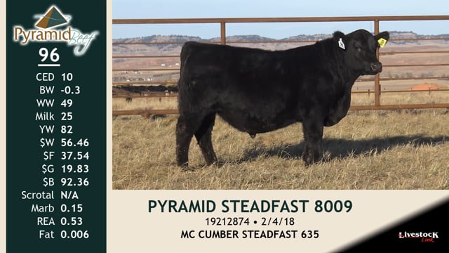 Lot #96 - PYRAMID STEADFAST 8009
