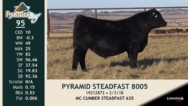 Lot #95 - PYRAMID STEADFAST 8005