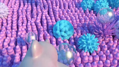 JULIAN GLANDER