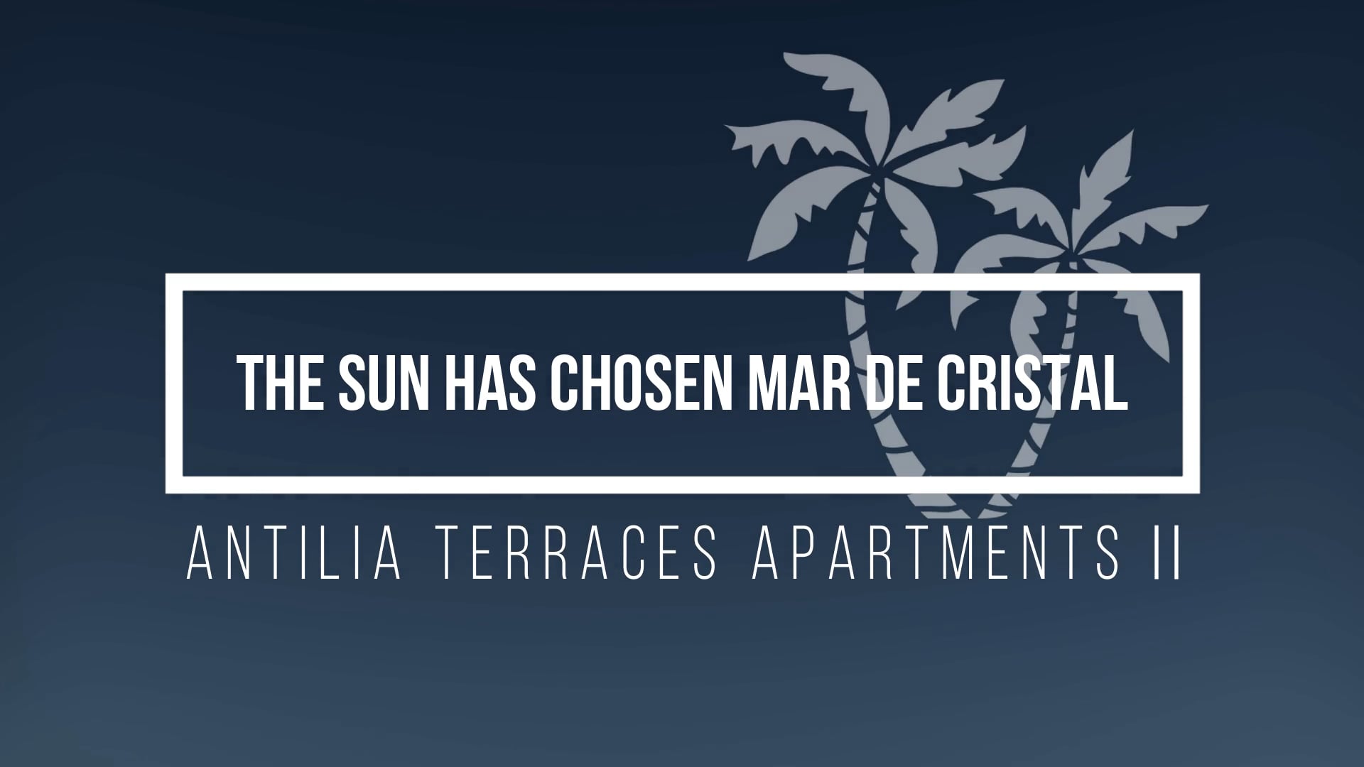 ANTILIA II __ THE SUN HAS CHOSEN MAR DE CRISTAL