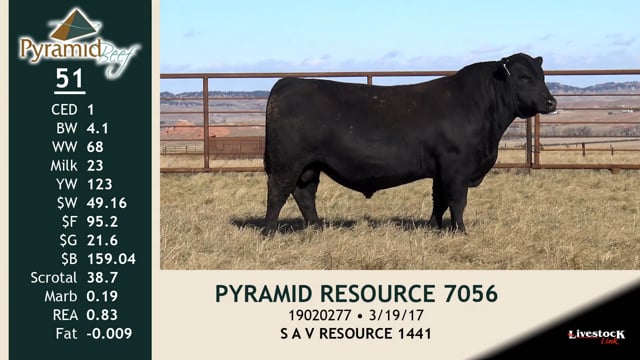 Lot #51 - PYRAMID RESOURCE 7056