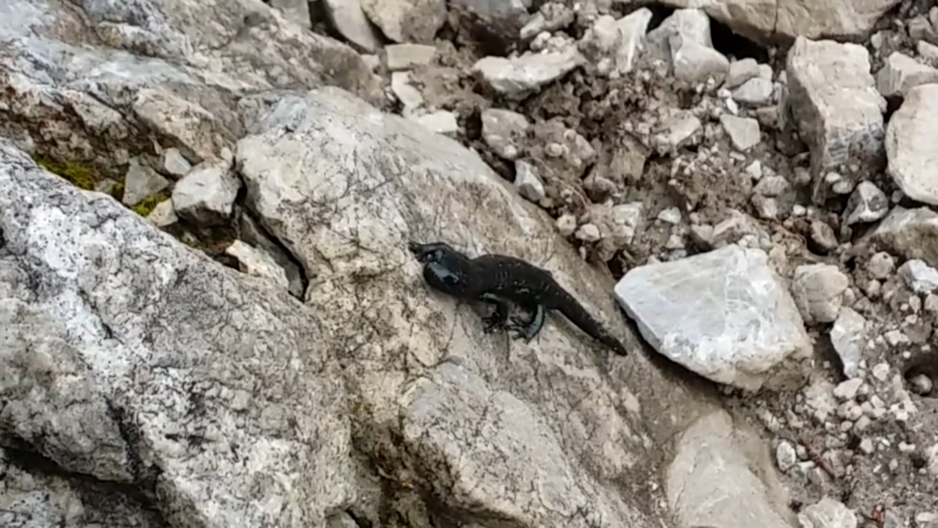 Abenteuer Alpenüberquerung