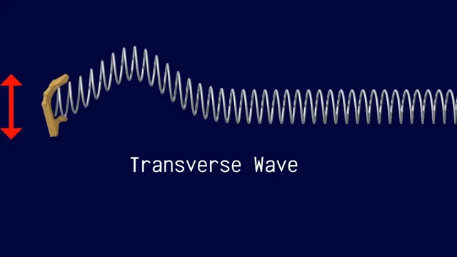 transverse wave real life examples
