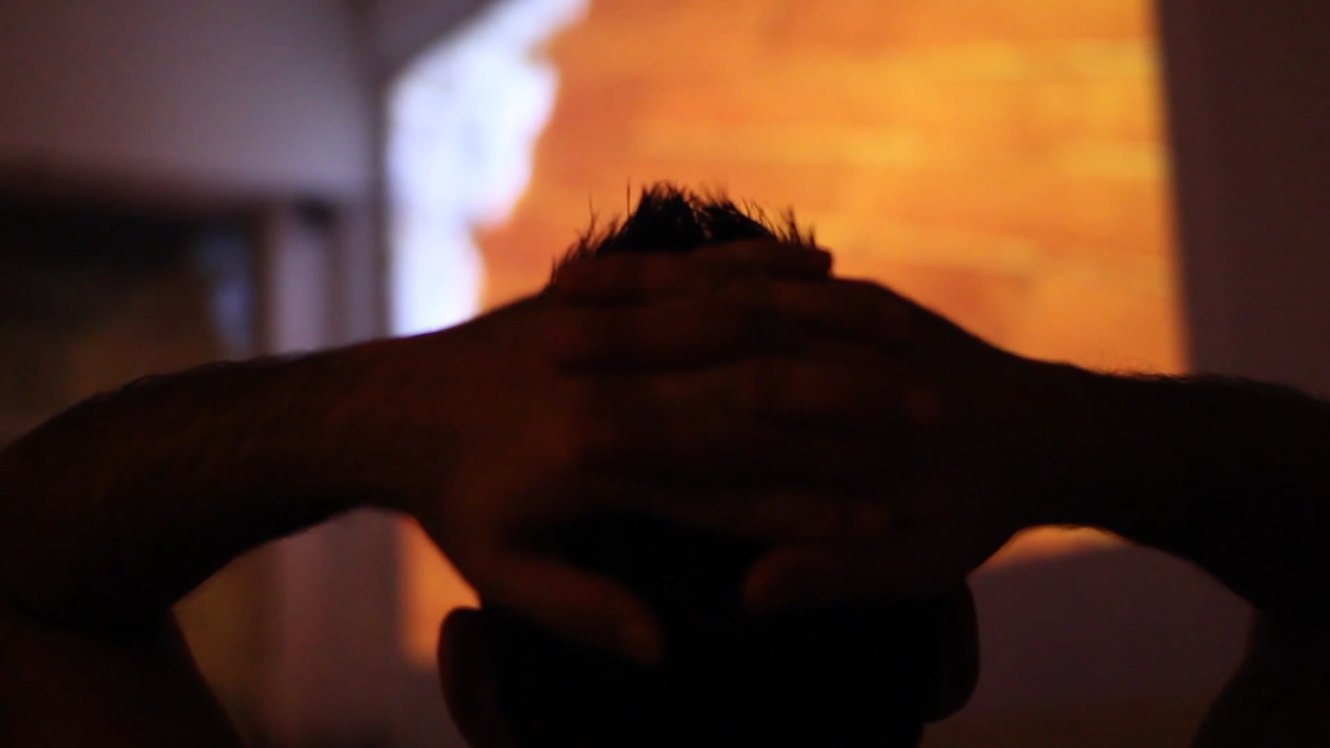 The Animattikon Project 2018