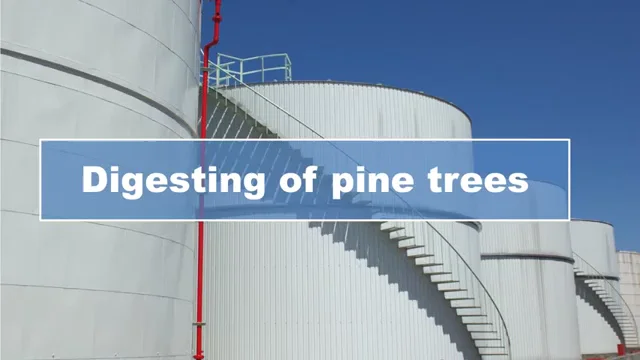 About Pine Chemicals - Lawter