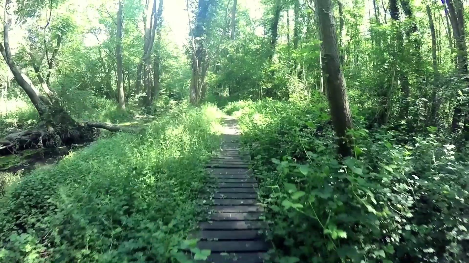 DECATHLON Rock&Bleau