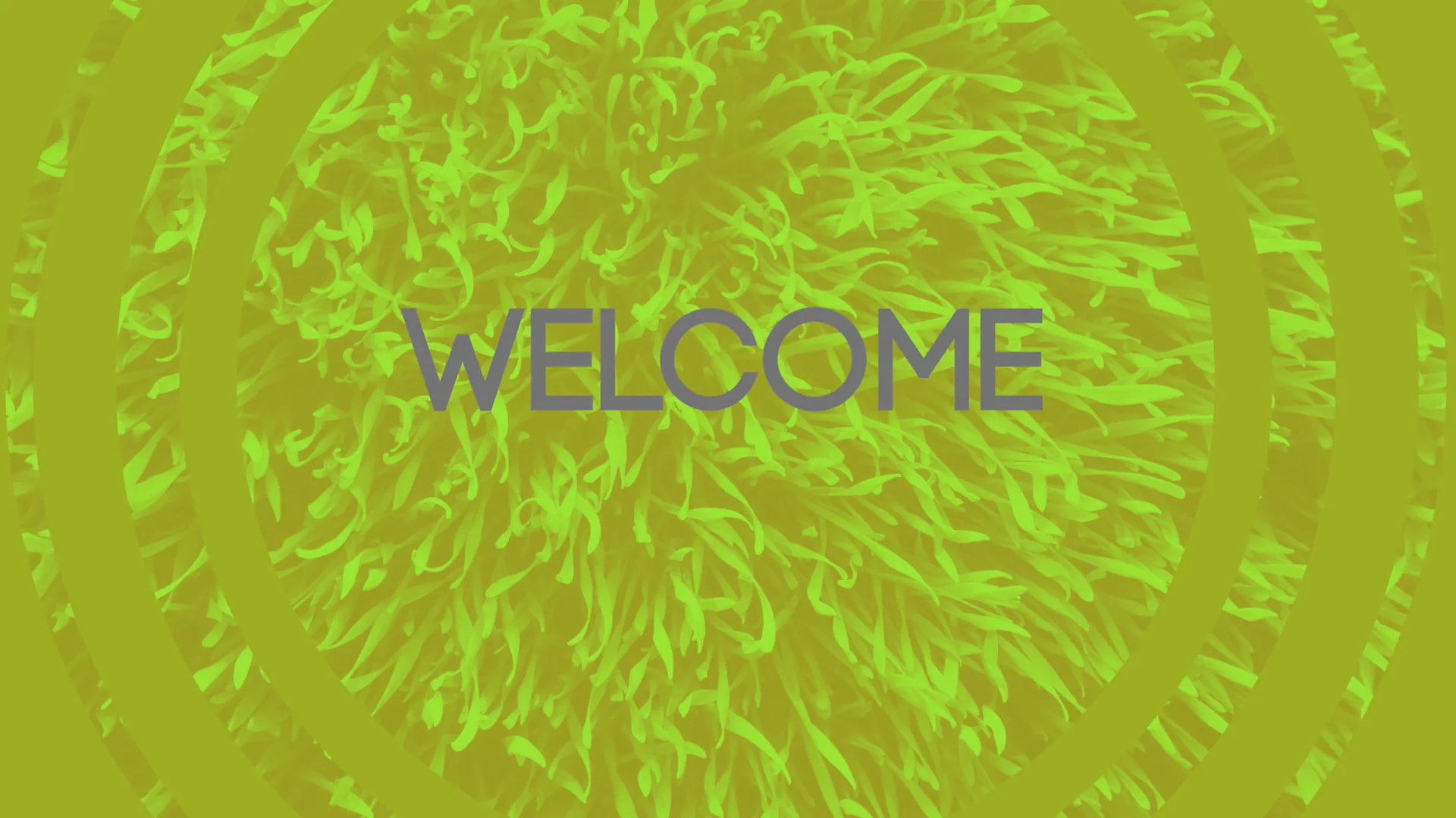 Welcome - Welcome on Vimeo