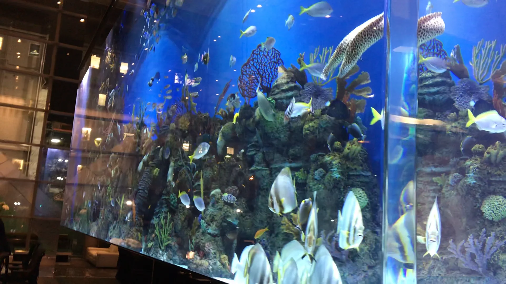 Salesforce Tower London - New Fish Tank on Vimeo