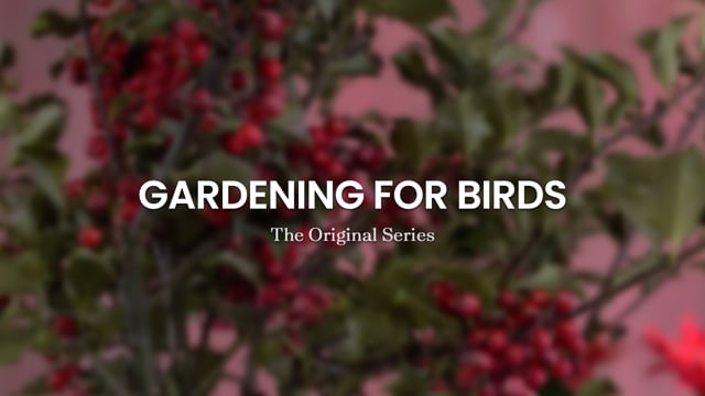 Branded Series | From the Garden Shed with Mark Cullen | Client : Premier Tech Home & Garden