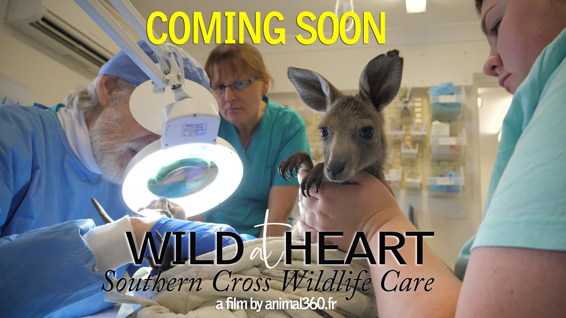TRAILER Wild at Heart - southern Cross Wildlife Care