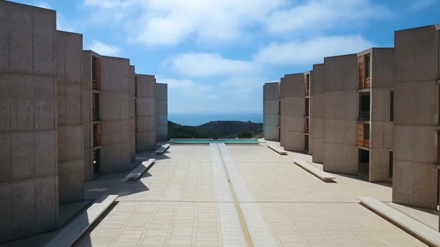 Why We Give Email - Salk Institute for Biological Studies