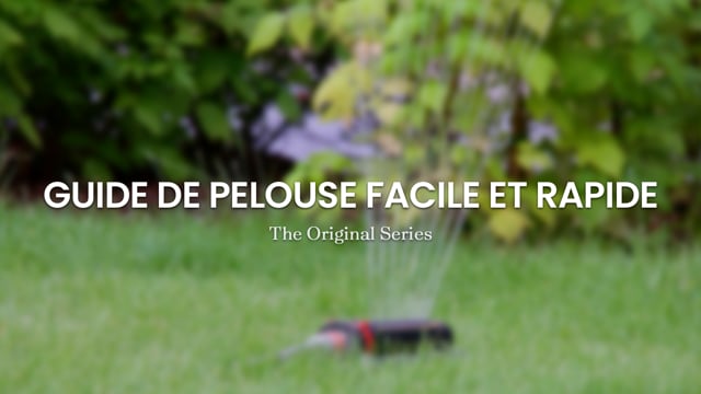 Guide de Pelouse Facile et Rapide