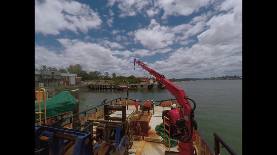 Crane 5 year inspection and load test