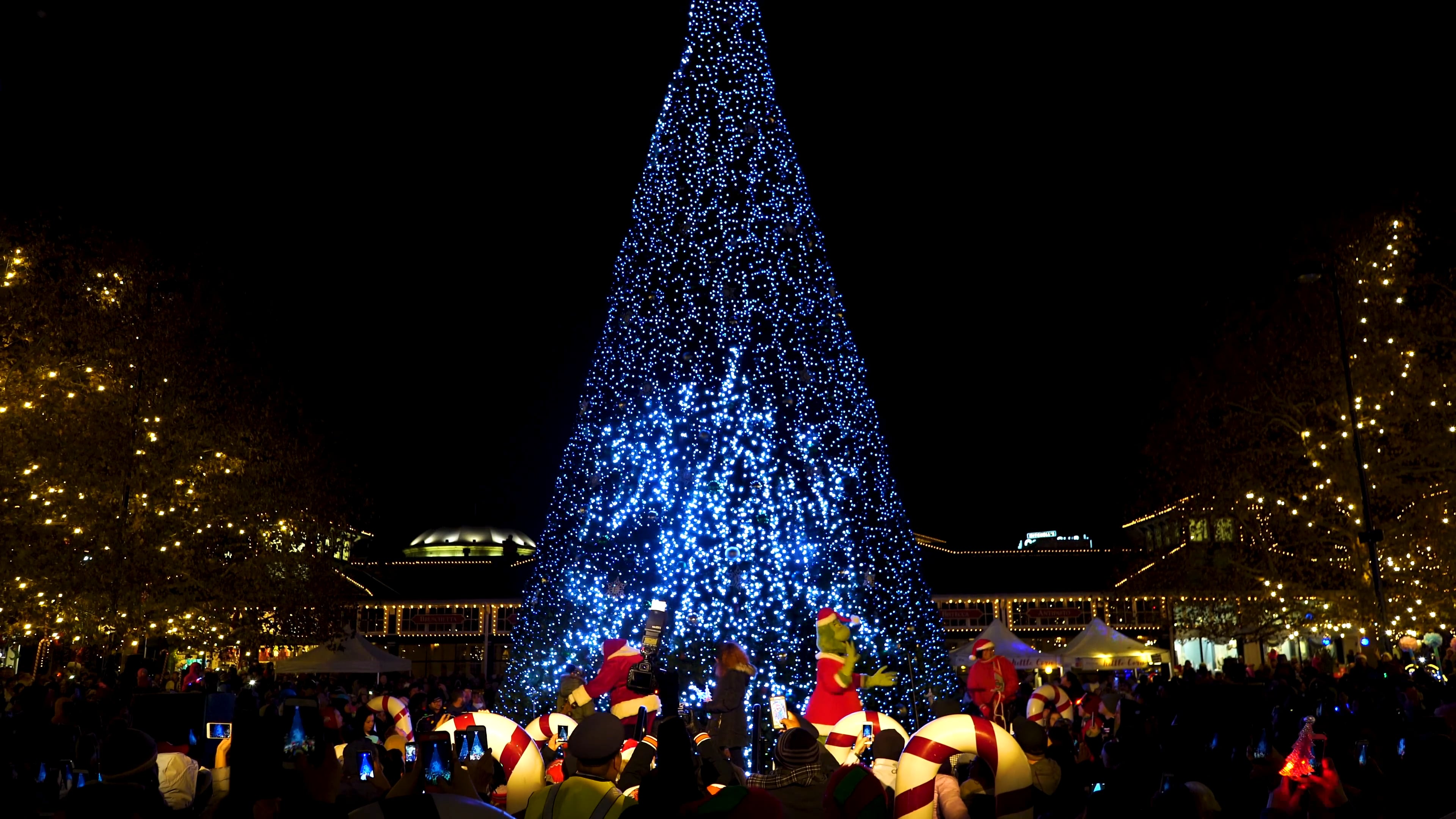 Easton Tree Lighting Ceremony 2018 on Vimeo