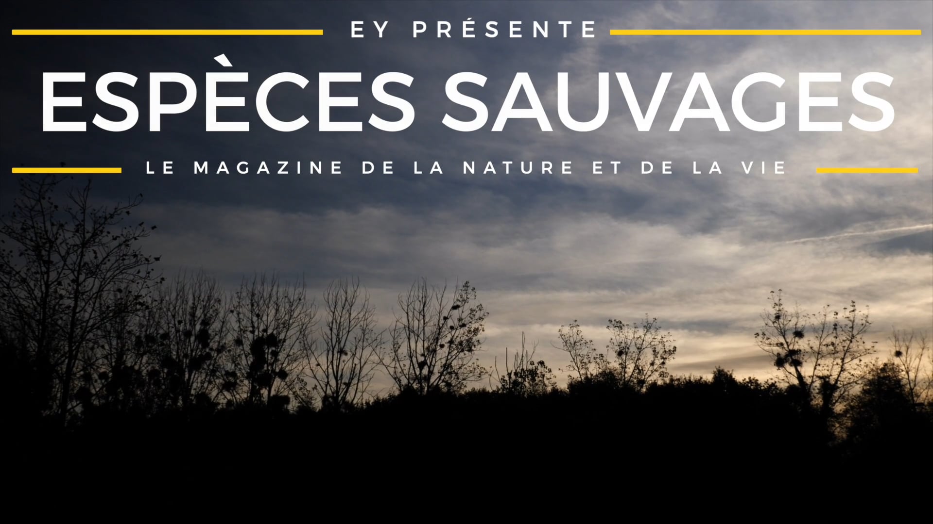 Espèces Sauvages - À la découverte des Junior-Entrepreneurs