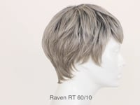 Raven RT 60/10